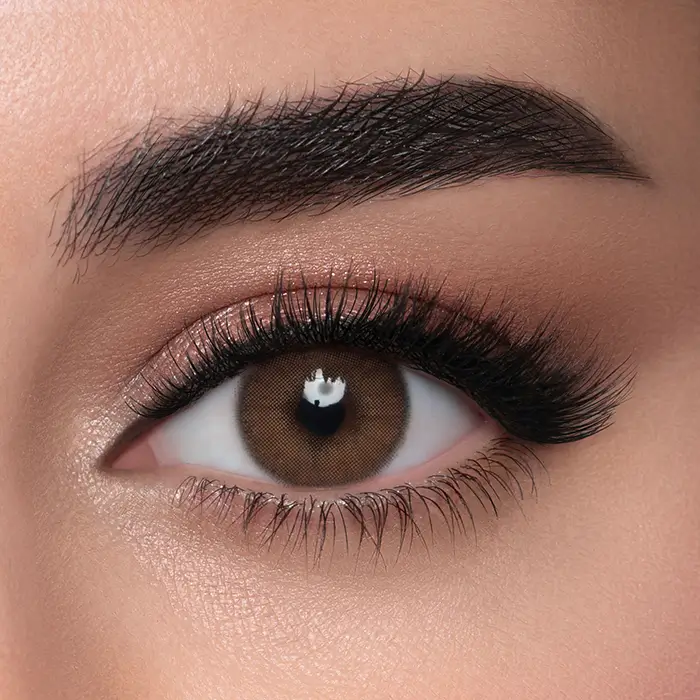 Lensme Date Plano Lenses
